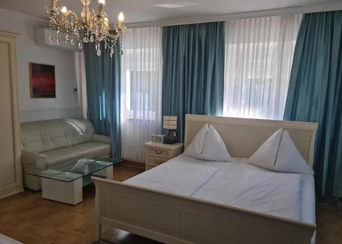 Ξενοδοχείο Hoeckner Plaza Attnang-Puchheim